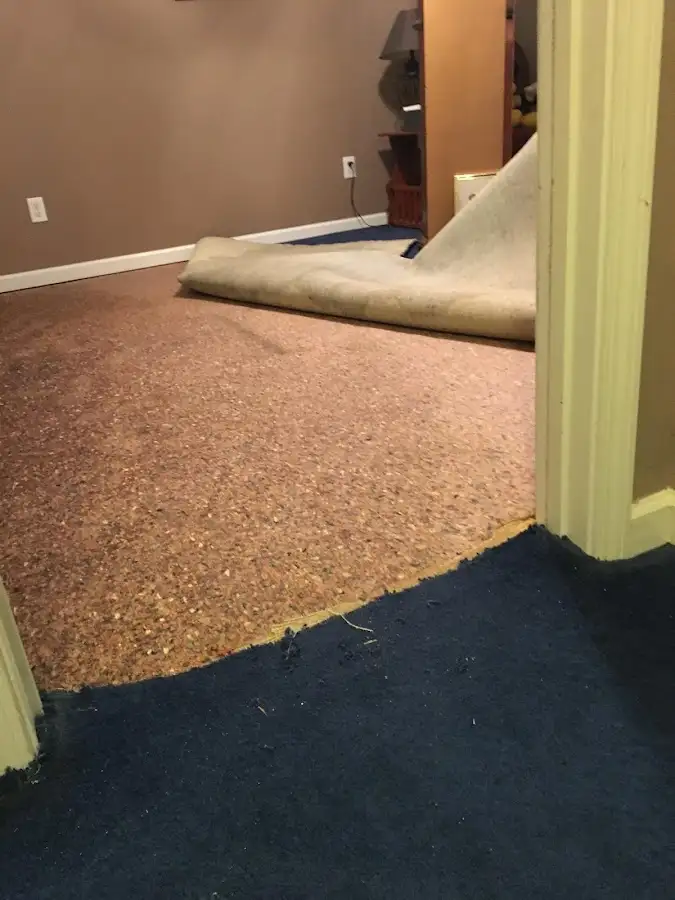 Carpet pad removal revealing water damage during Drying & Dehumidification in Trotwood