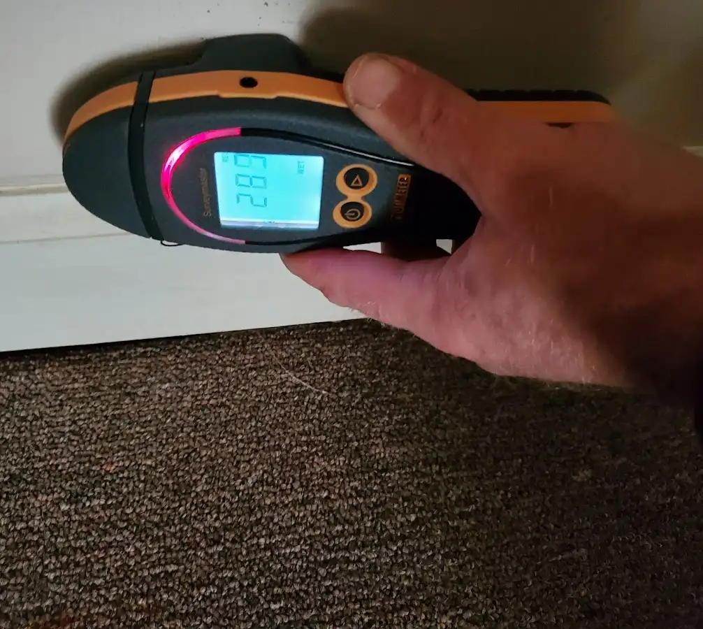 Moisture detection at baseboard during Sewage Cleanup & Sanitation in Trotwood